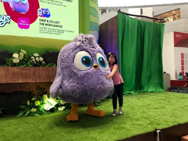 Asyik, Karakter Angry Birds Hatchlings Hadir di Jakarta