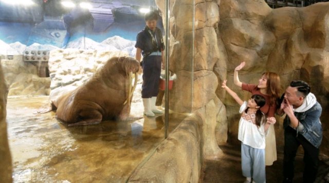 Ocean Park Hong Kong Bertransformasi Menjadi One-stop Edutainment