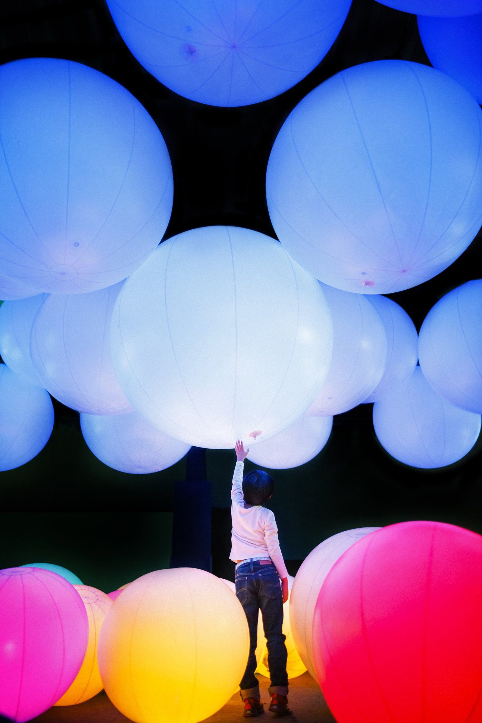 Asyik, Pameran Kreatif dari teamLab akan Hadir di Indonesia