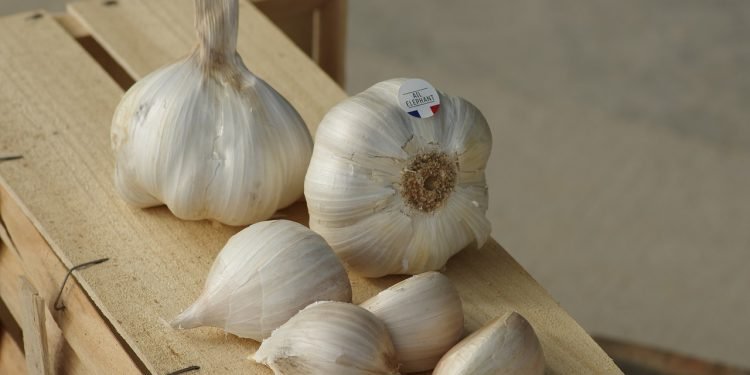 3 Memanfaatkan Bawang Putih untuk Menjaga Kesehatan Jantung_Womanindonesia.jpg