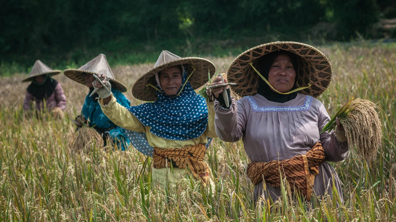 Hari Perempuan Pedesaan Sedunia_Womanindonesia.jpg