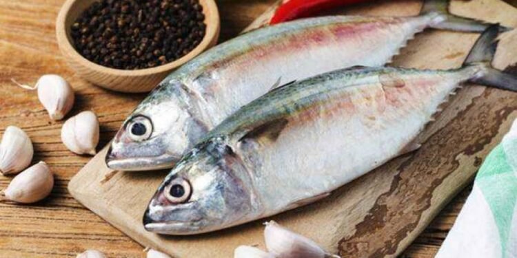 5 Manfaat Protein Ikan untuk Kesehatan Tubuh_womanindonesia.co.id