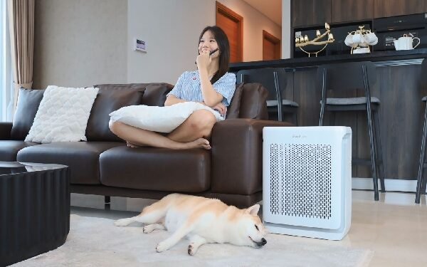 Tips Memilih Air Purifier Pet-Friendly untuk Udara Segar di Rumah_womanindonesia.co.id